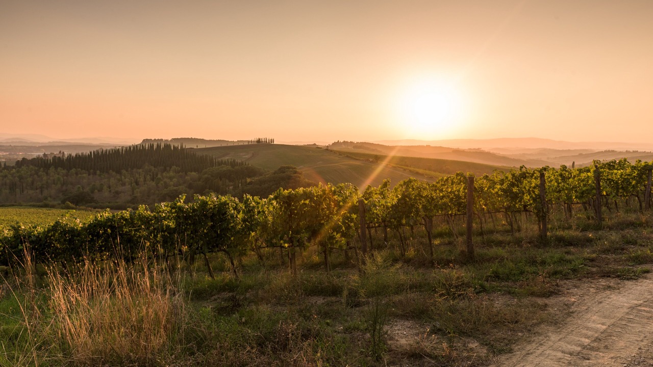 Photo of Others in Castellina in Chianti