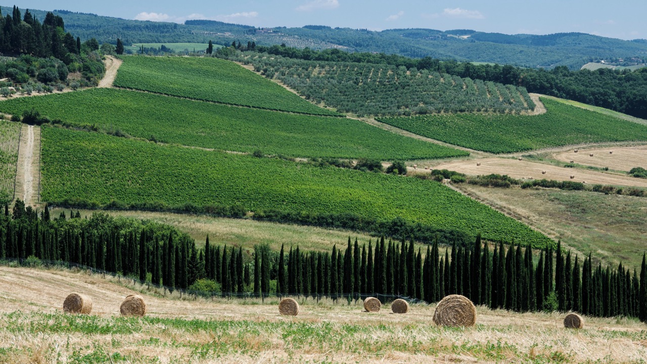 Photo of Others in Castellina in Chianti