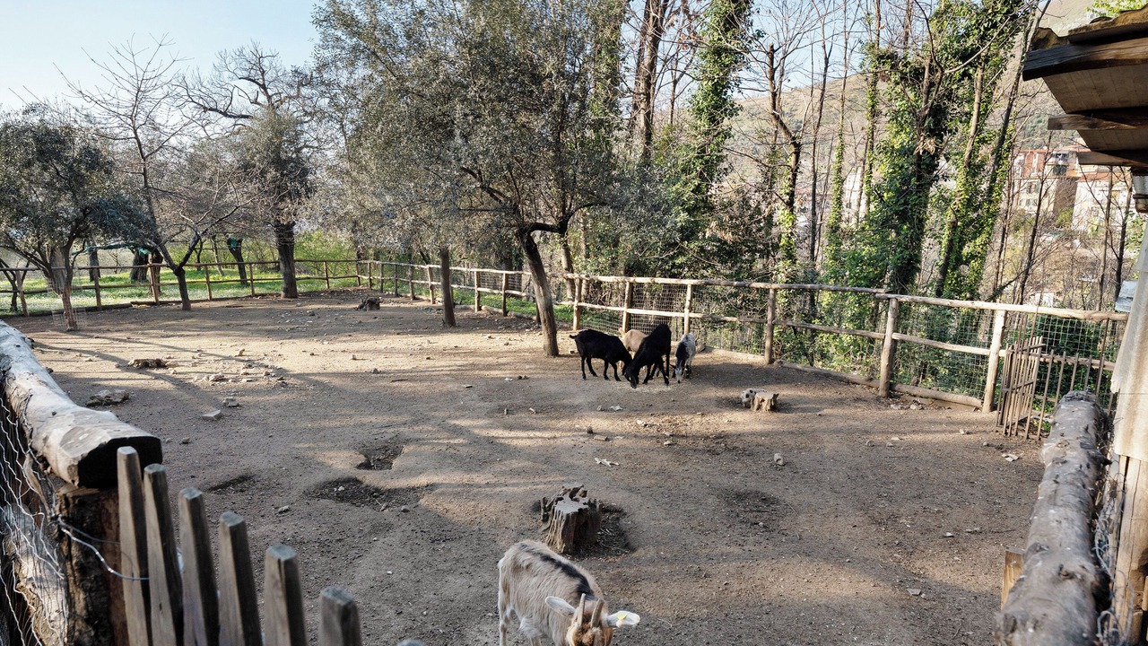 Photo of Others in Gragnano