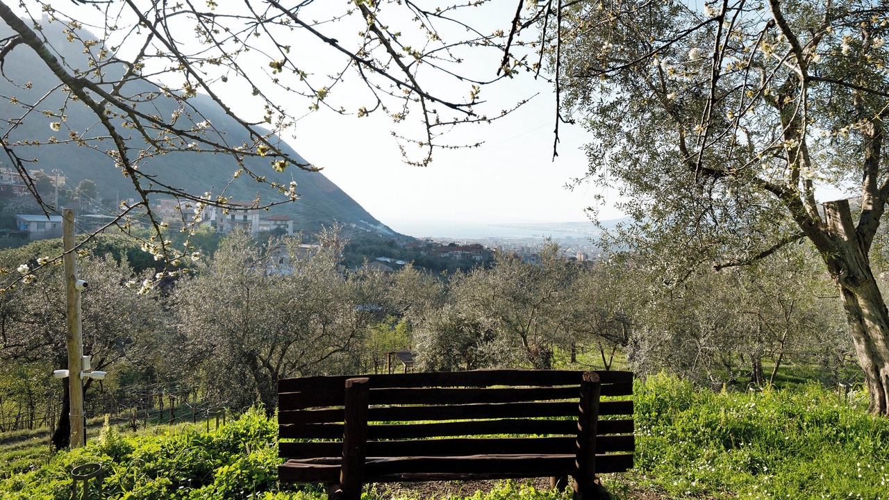 Photo of Others in Gragnano