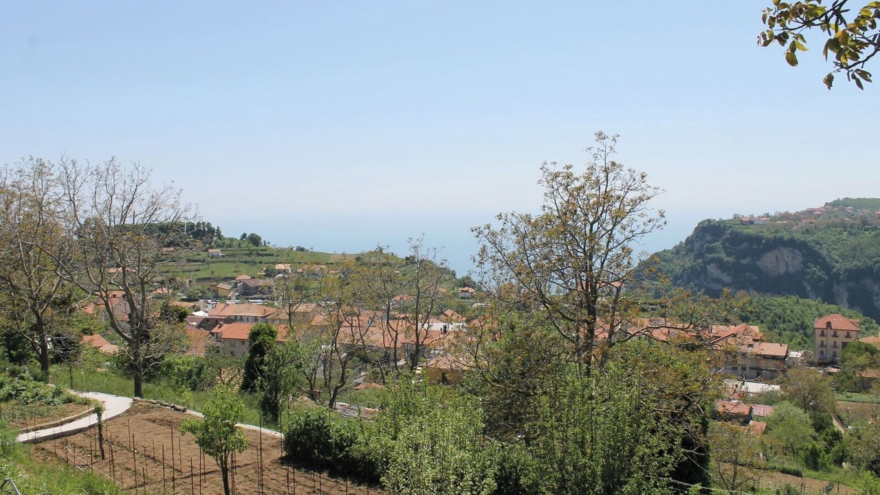 Photo of Others in San Lazzaro