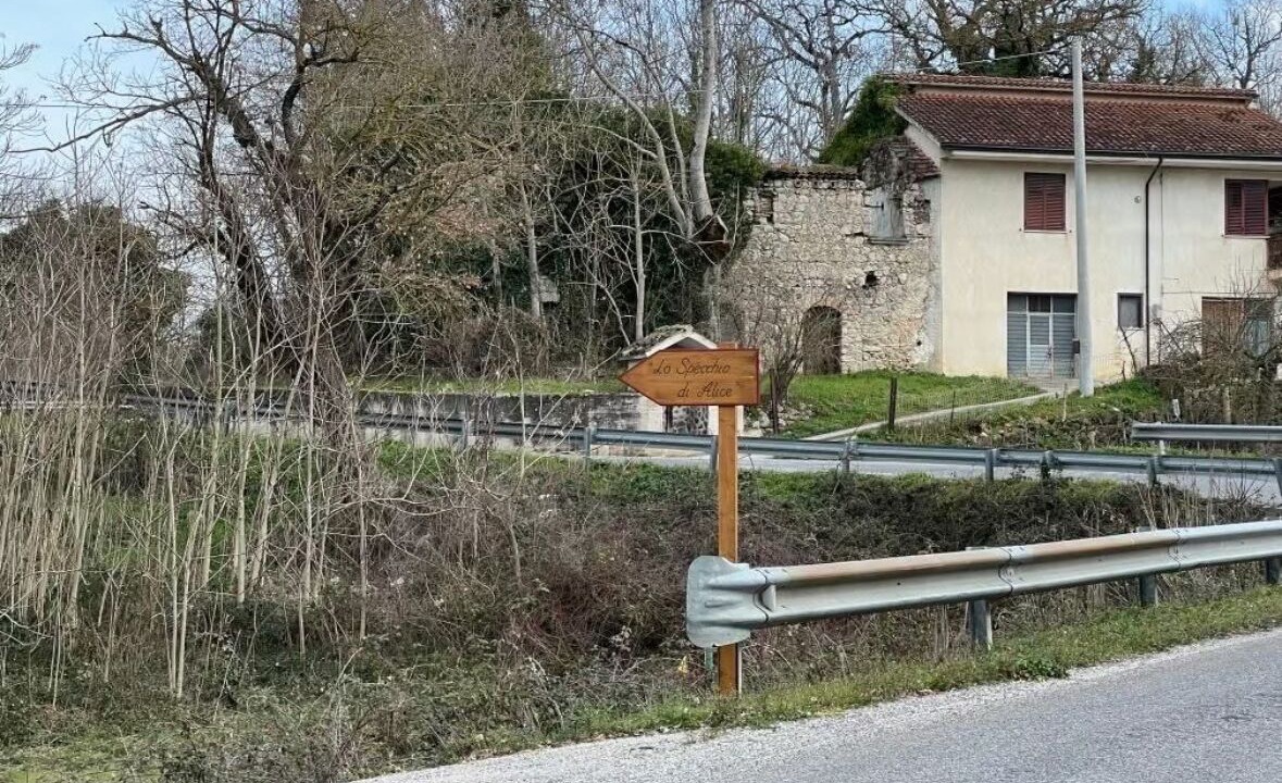 Photo of Others in Lioni