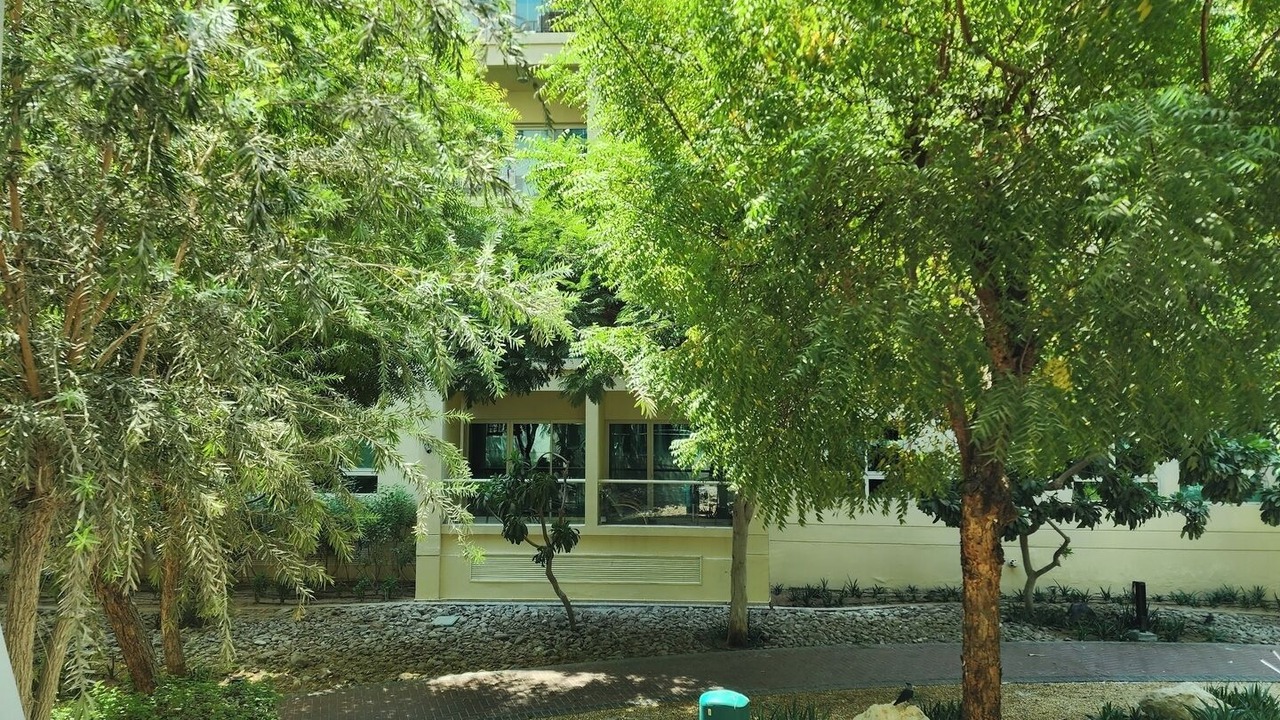Photo of Outdoor in Deira