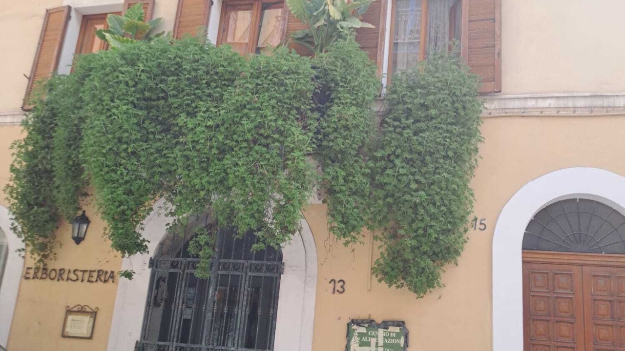 Photo of Outdoor in Chieti