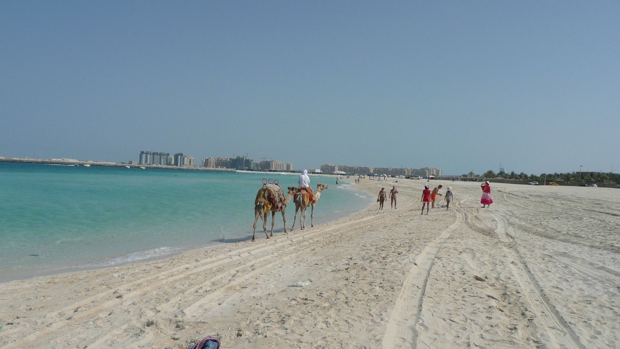 Photo of Others in Al Barsha 1