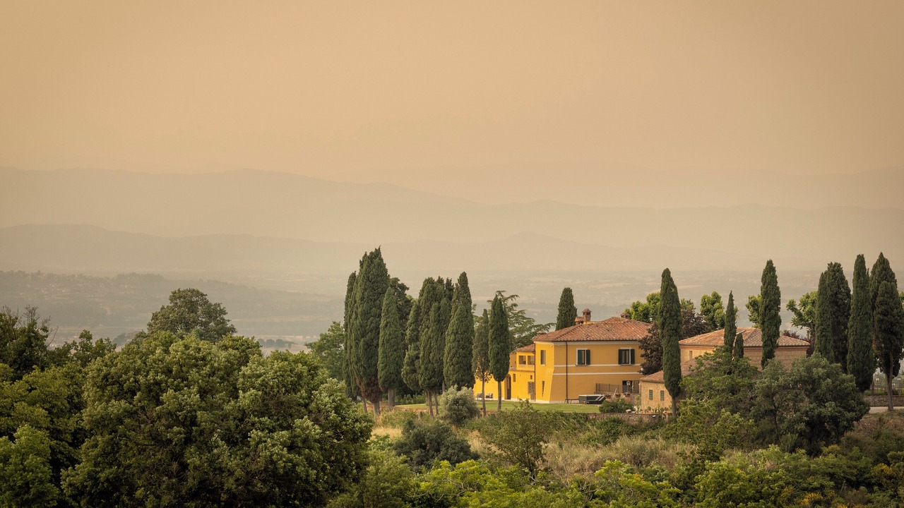 Photo of Others in Montepulciano
