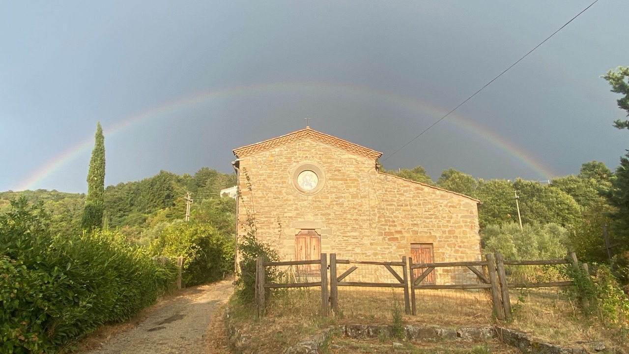 Photo of Outdoor in Rufina
