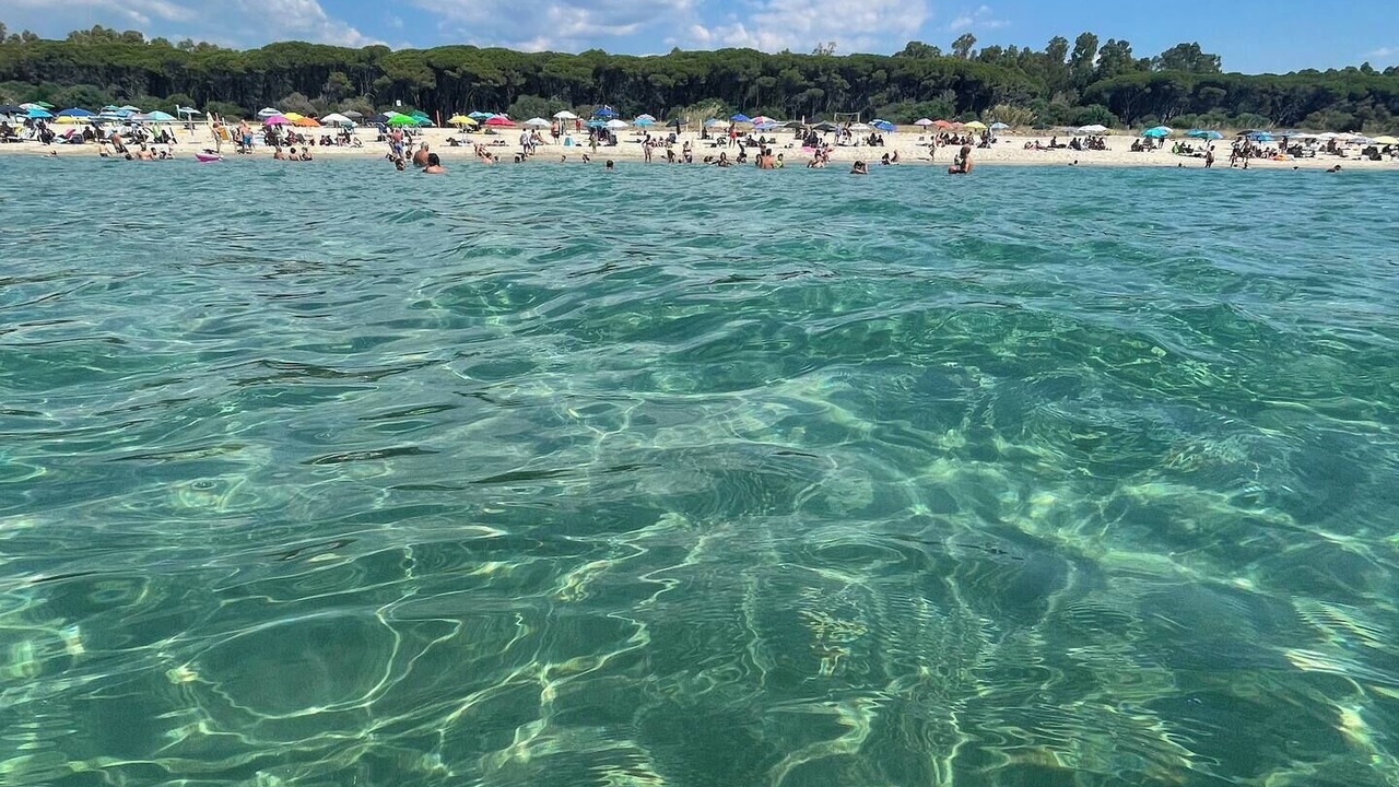 Photo of Others in Cropani Marina