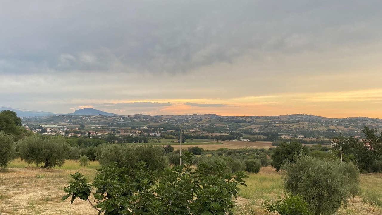 Photo of Others in Sant'Omero