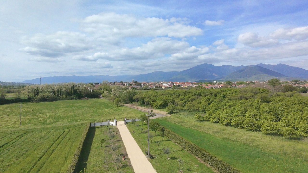Photo of Others in Amorosi