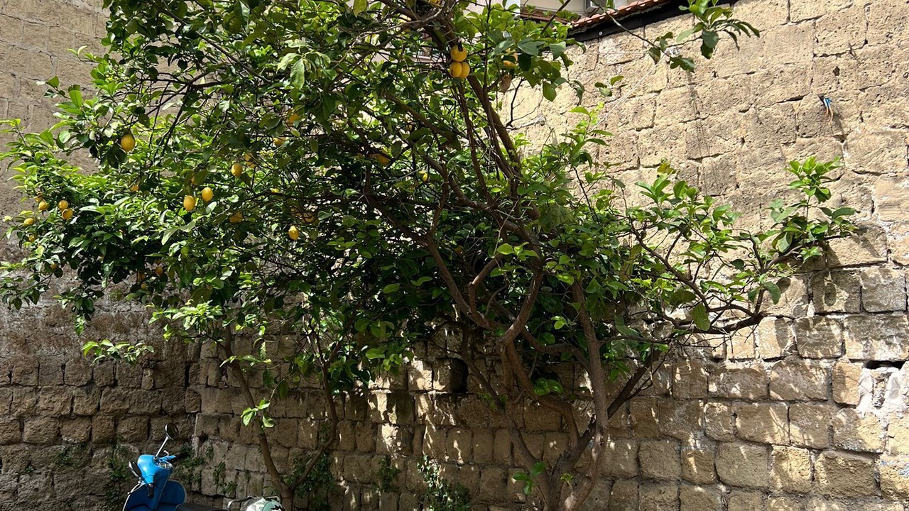 Photo of Outdoor in Afragola