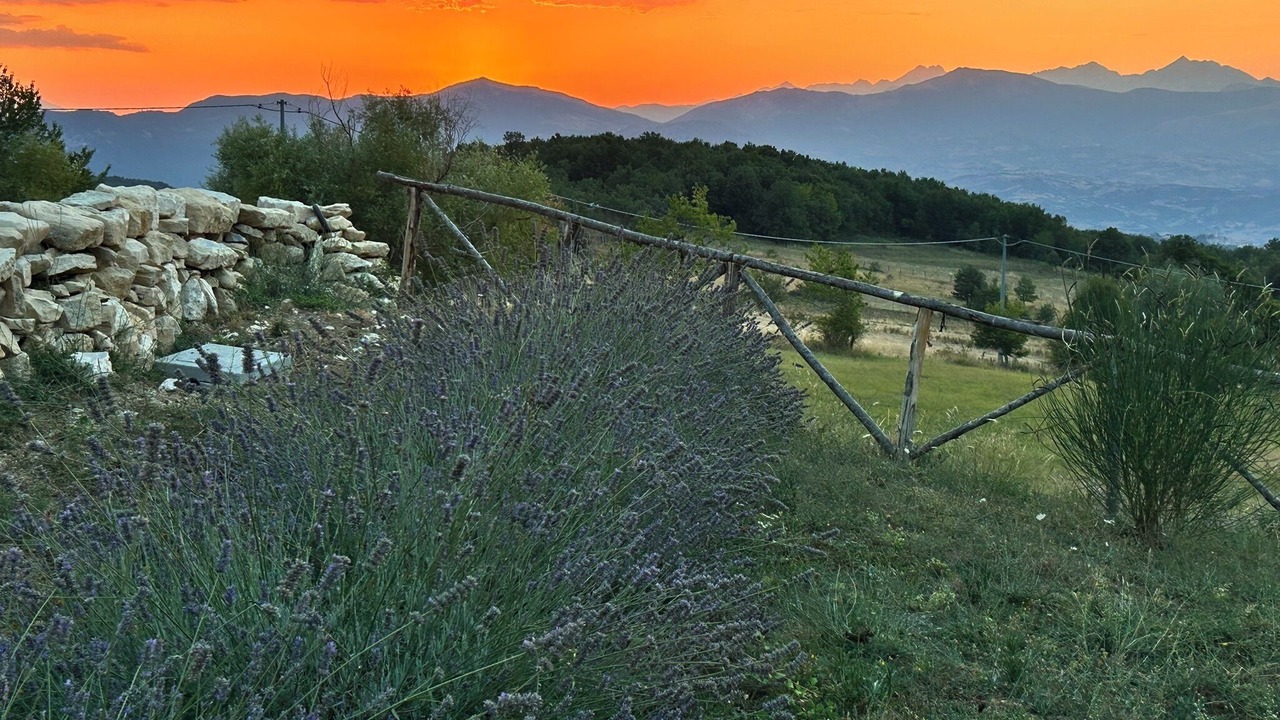 Photo of Others in Roccamorice