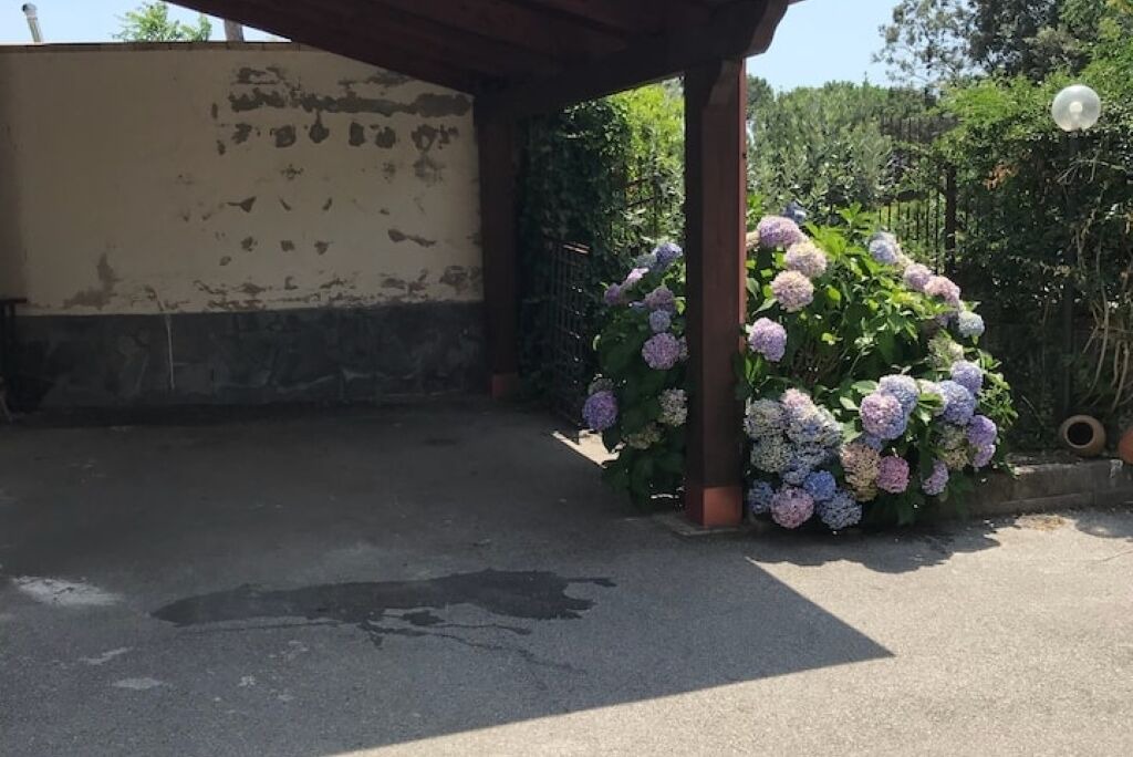 Photo of Outdoor in Trecase