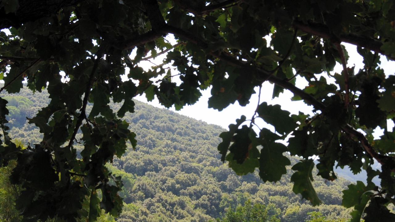 Photo of Outdoor in Casamicciola Terme
