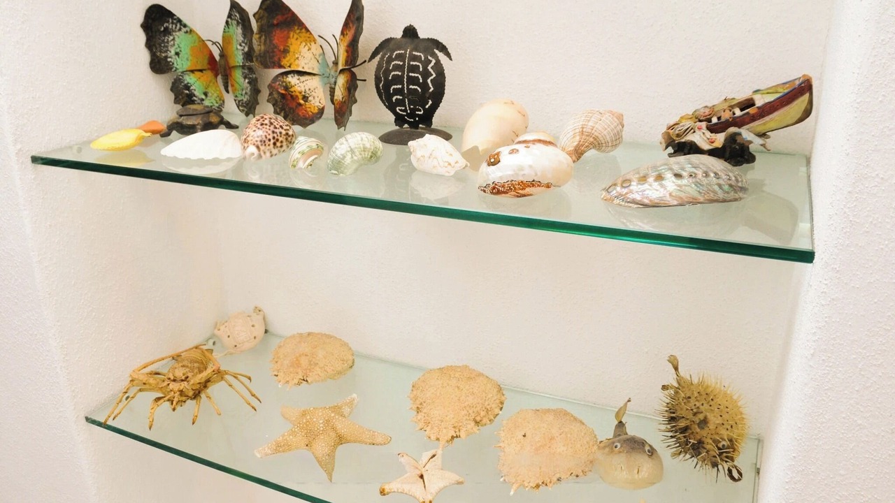 Photo of Others in Casamicciola Terme
