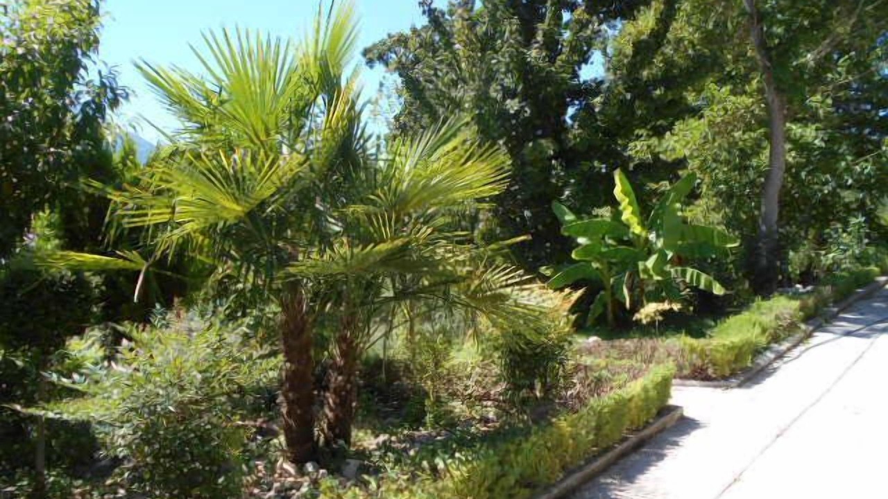 Photo of Outdoor in Campo di Fano