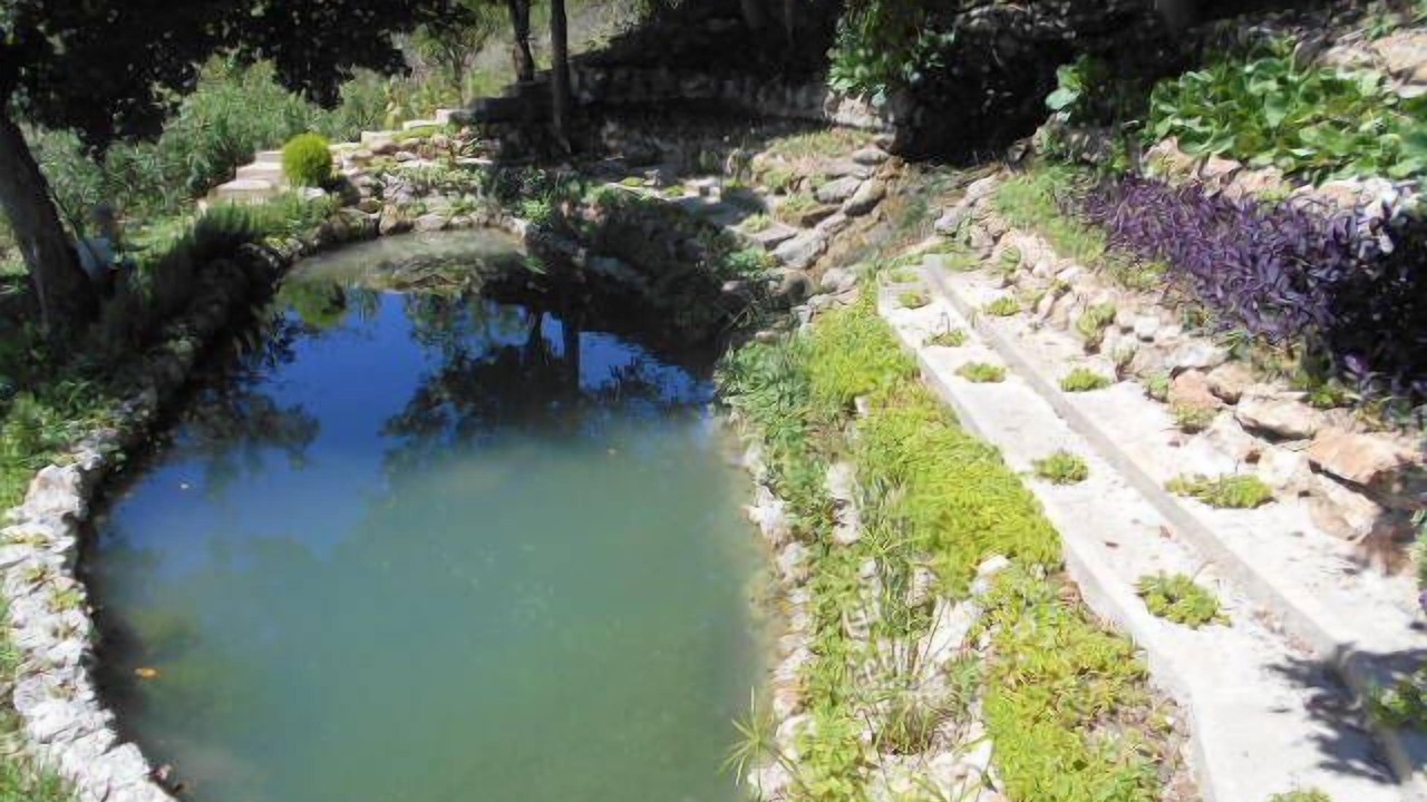 Photo of Outdoor in Campo di Fano