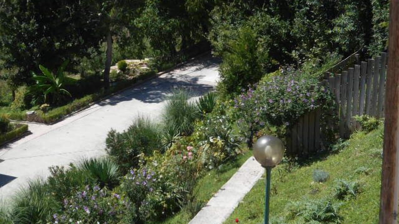 Photo of Outdoor in Campo di Fano