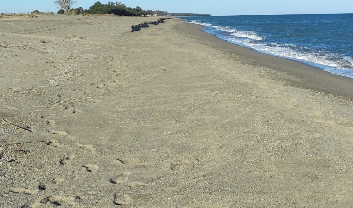 Photo of Others in Crotone