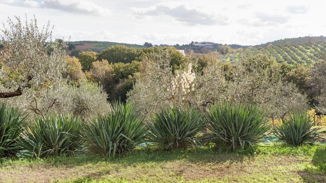 Photo of Outdoor in Giano dell'Umbria