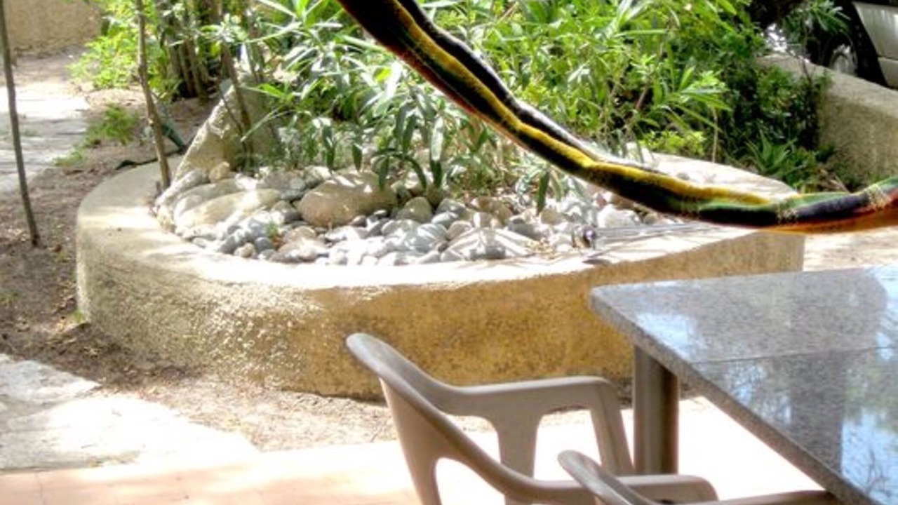 Photo of Outdoor in Santa Reparata