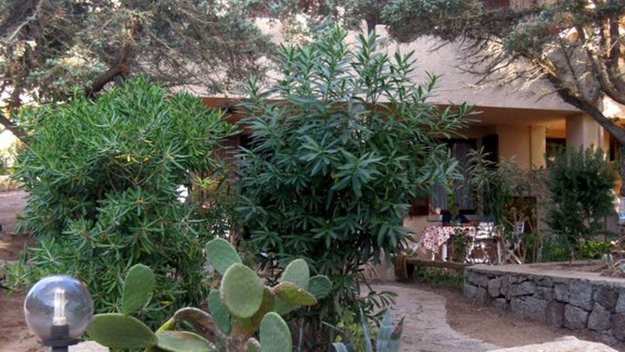 Photo of Outdoor in Santa Reparata