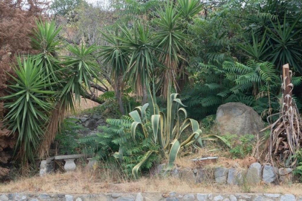 Photo of Outdoor in Reggio Calabria