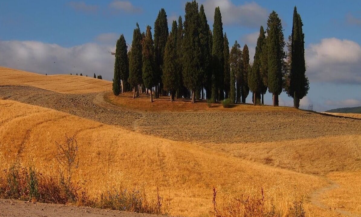 Photo of Others in San Quirico d'Orcia