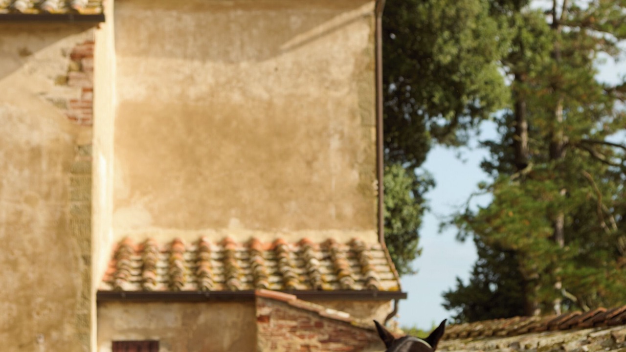 Photo of Others in Lucignano