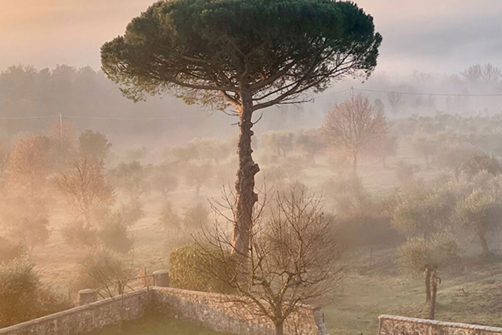 Photo of Others in Lucignano