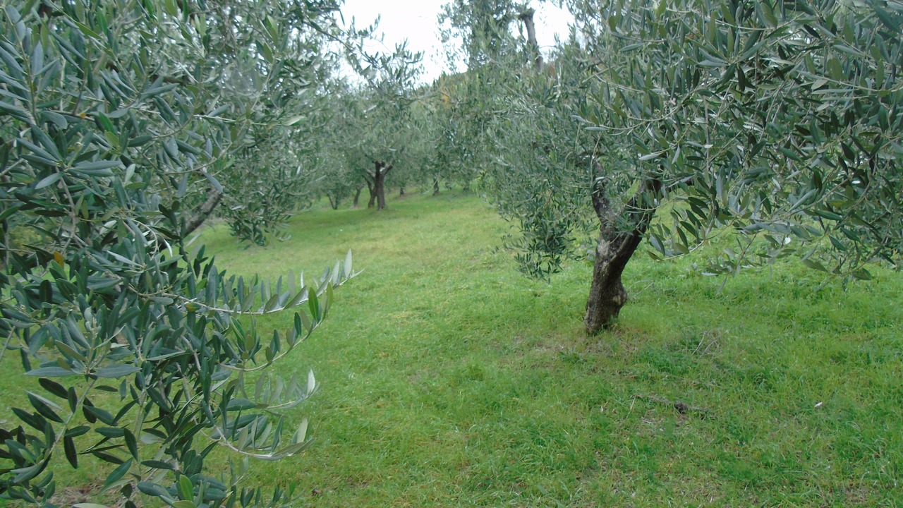 Photo of Others in Agnone