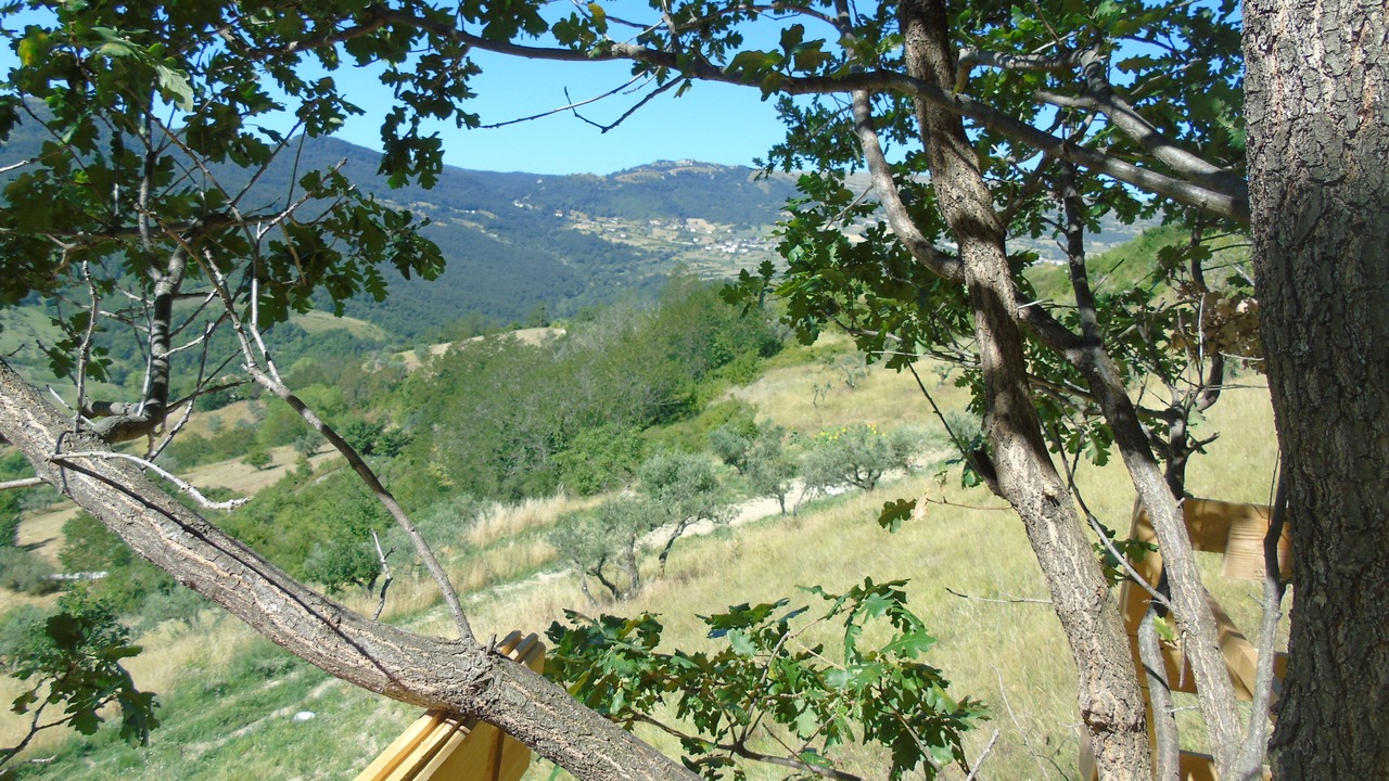 Photo of Others in Agnone