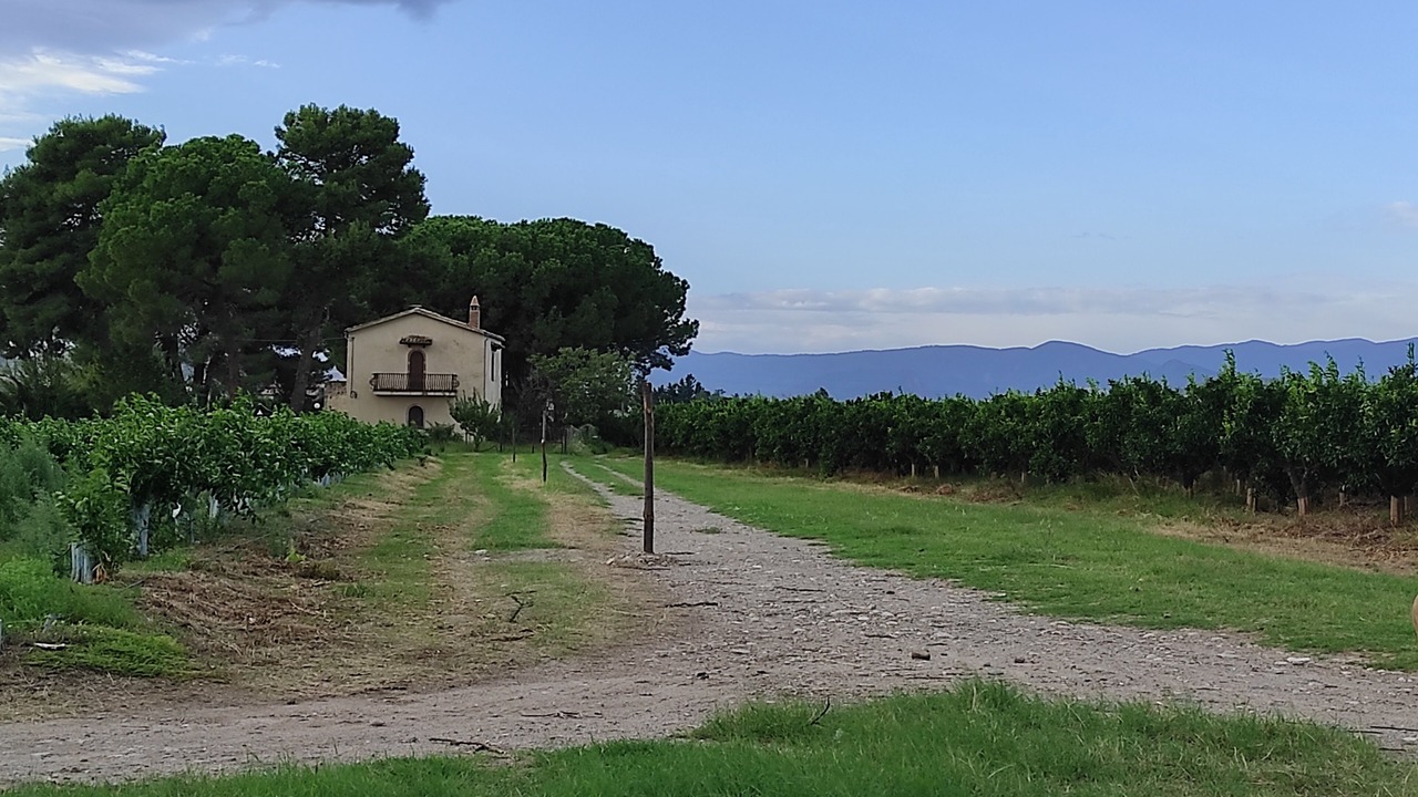 Photo of Outdoor in Mirto