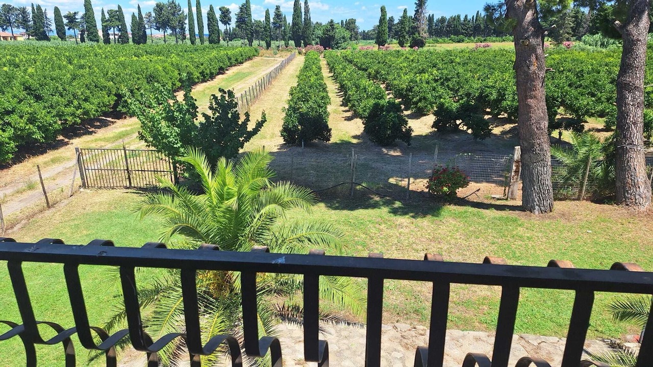 Photo of Outdoor in Mirto