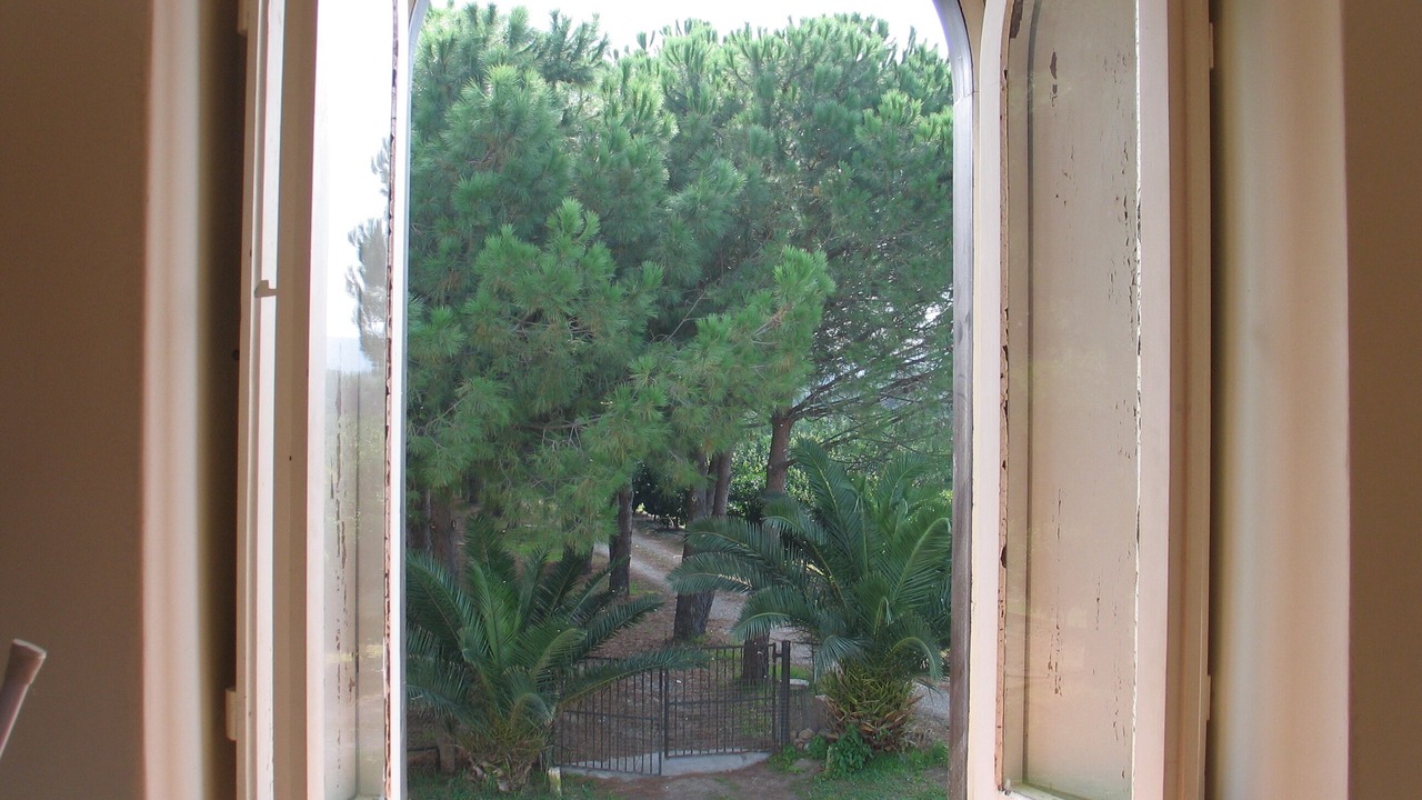Photo of Others in Mirto