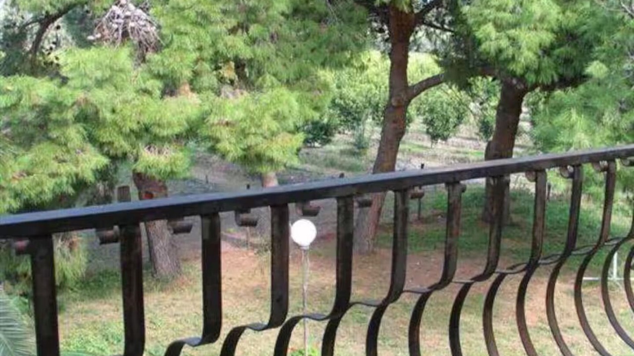Photo of Outdoor in Mirto