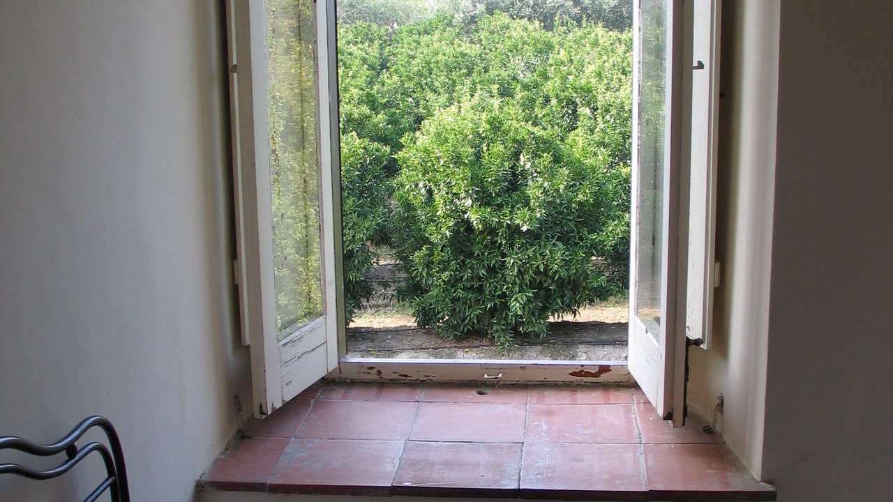 Photo of Others in Rossano