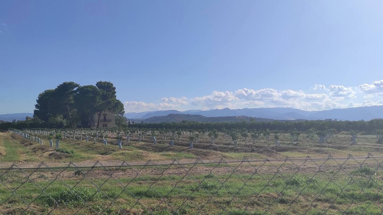 Photo of Others in Rossano
