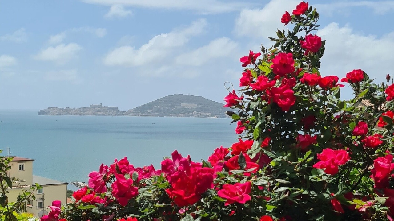 Photo of Others in Formia