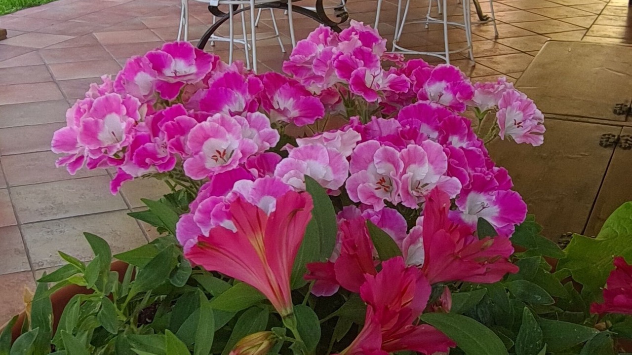 Photo of Outdoor in Formia