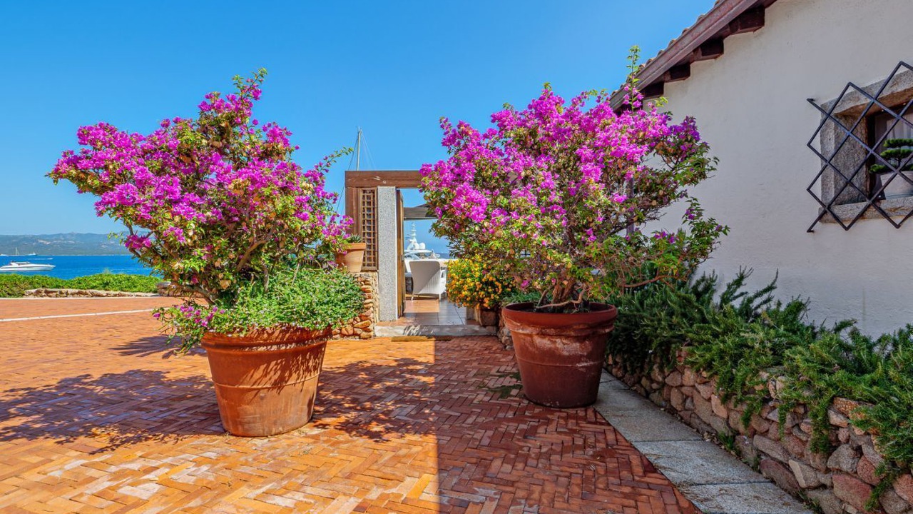 Photo of Patio Balcony in Porto Rotondo
