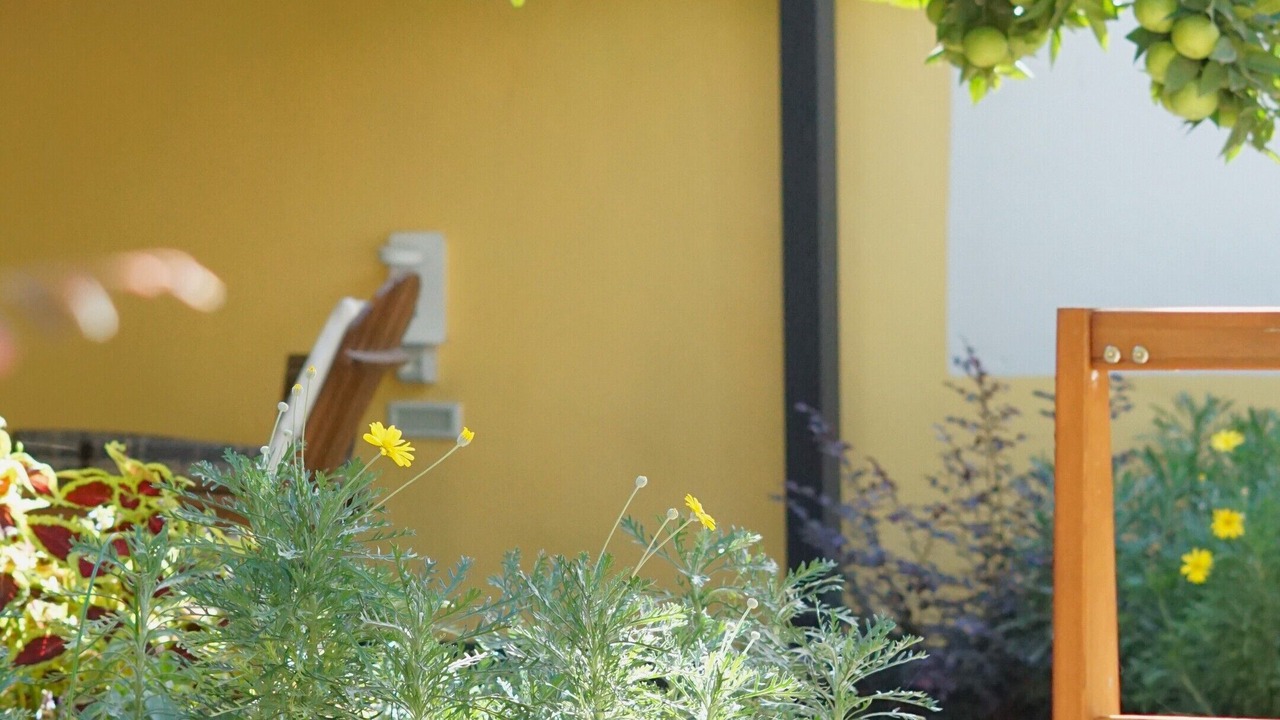 Photo of Outdoor in Scafati