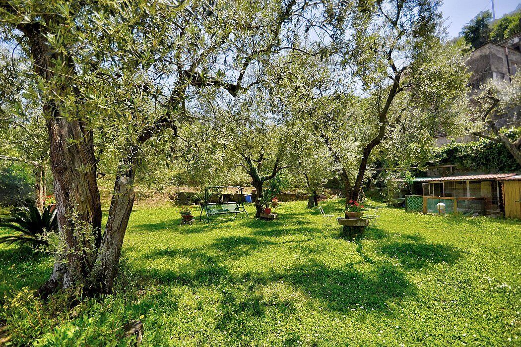 Photo of Outdoor in Piano di Sorrento