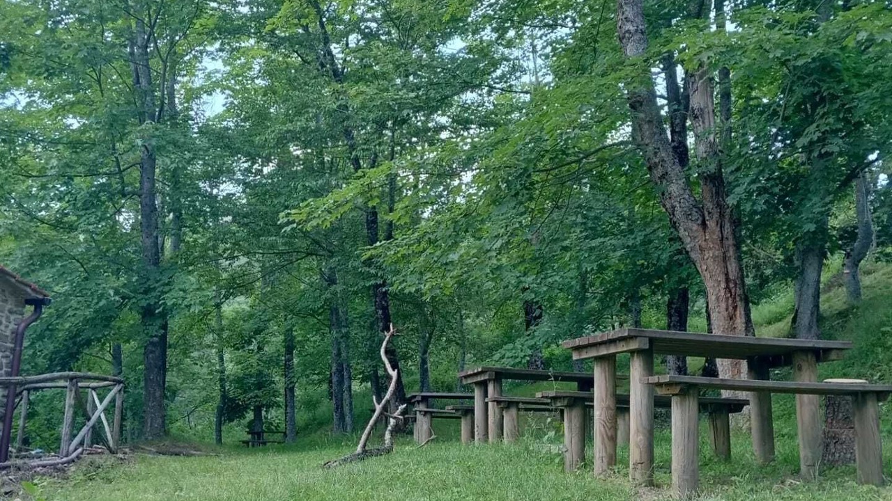 Photo of Outdoor in Moggiana