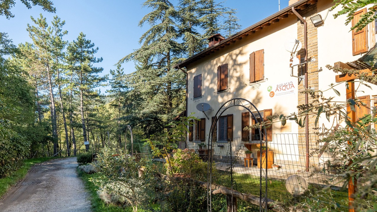 Photo of Outdoor in Moggiana