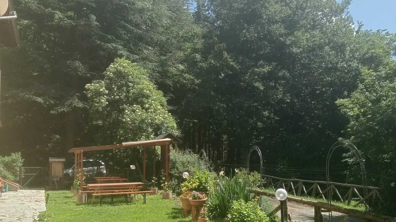Photo of Outdoor in Moggiana