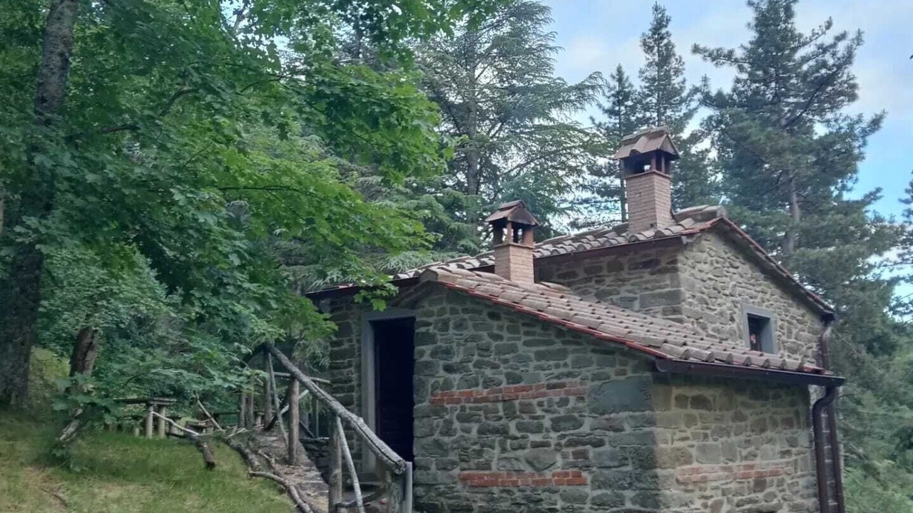 Photo of Outdoor in Moggiana
