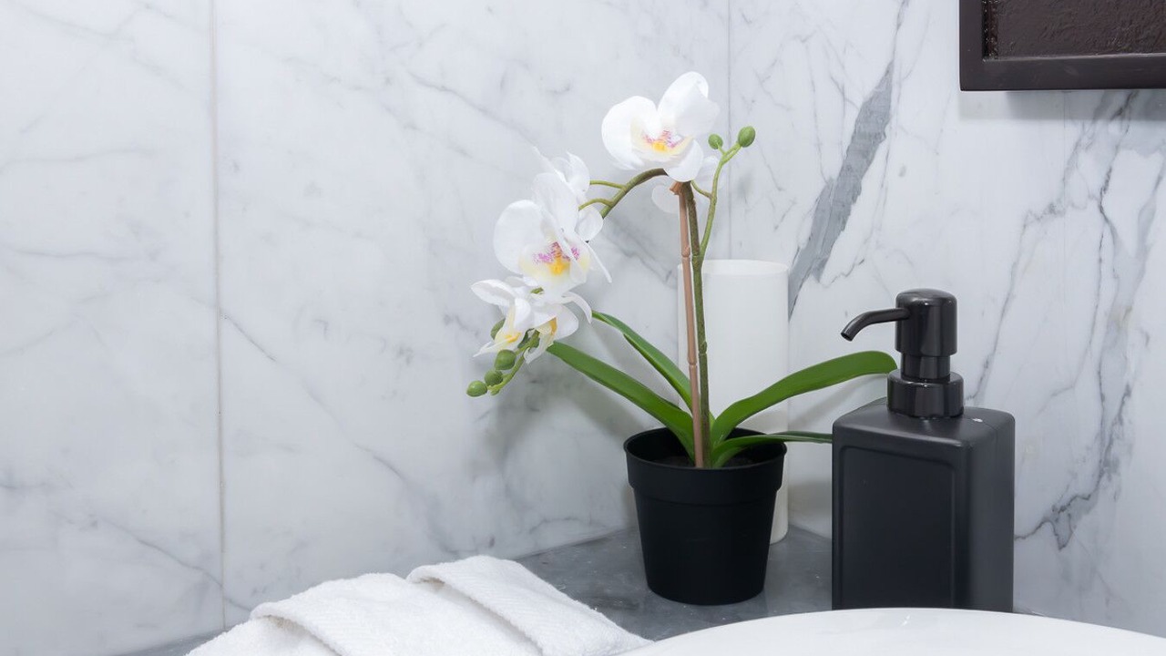 Photo of Bathroom in Jumeira 3