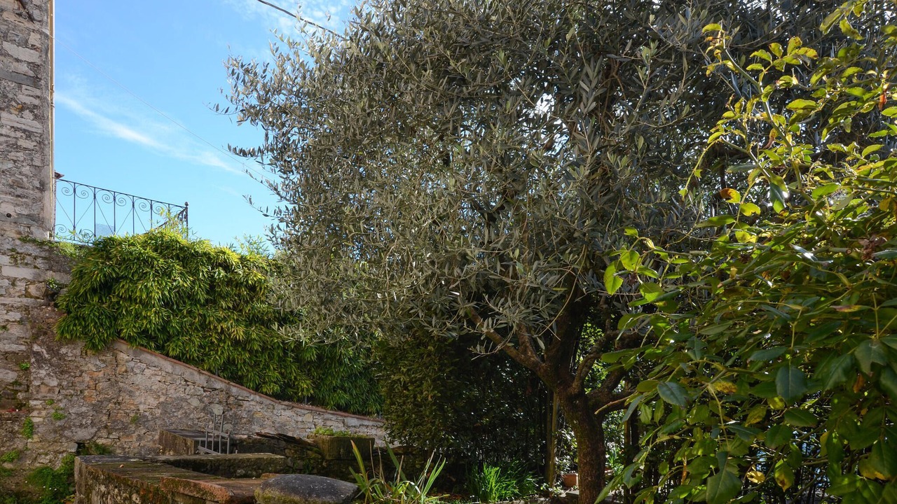 Photo of Others in Casoli