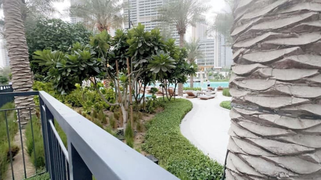 Photo of Outdoor in Dubai Festival City